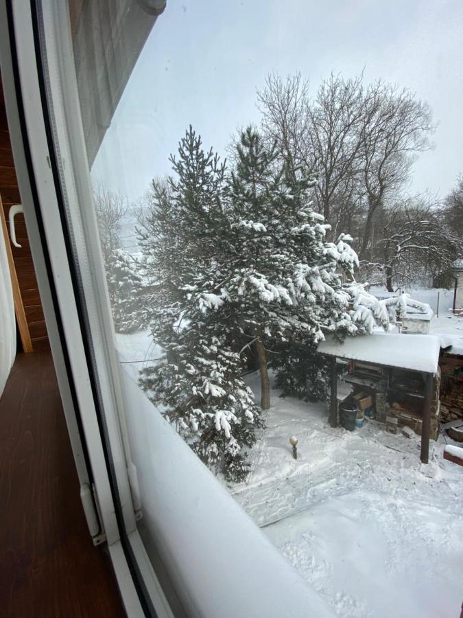 Guest House Shulc Mizhhirya (Transcarpathia) Exterior foto